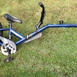 Co-Pilot Bike Trailer