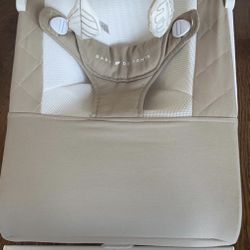 Baby delight Bouncer 