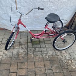 Sun Adult Trike w/ Basket