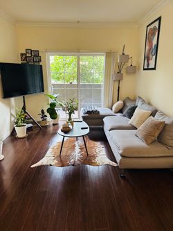 Walnut Coffee Table