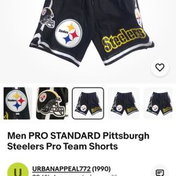 Men PRO STANDARD Pittsburgh Steelers Pro Team Shorts