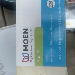 MOEN Shelf