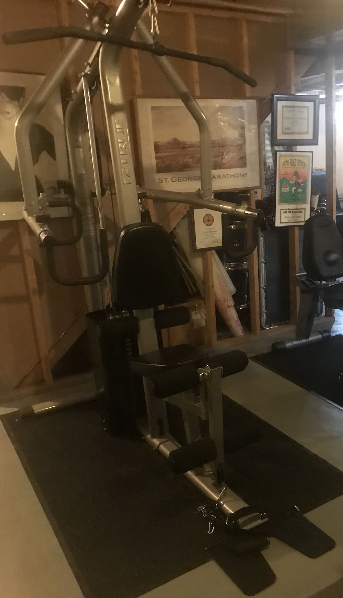 TRUE exercise equipment work out, weights pully system