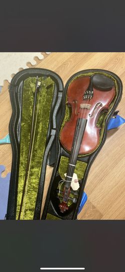 Violin