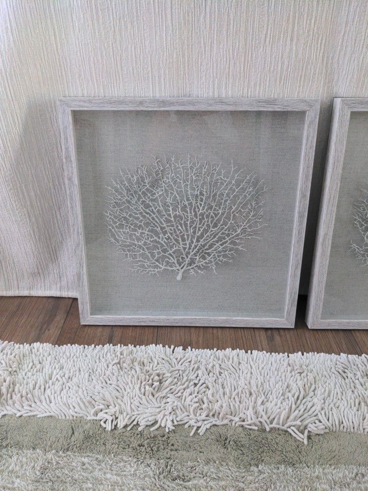 Sea Fan Coral Shadow Box