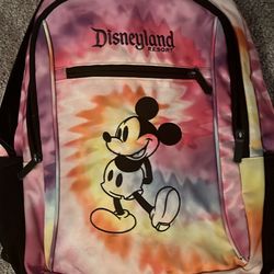 Disneyland Backpack