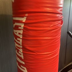 Everlast Punching Bag