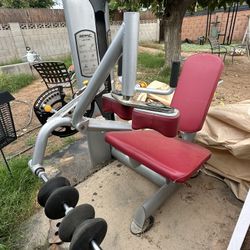 Freemotion Epic Strength Leg Curl Machine