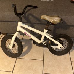 Little Kids Bike