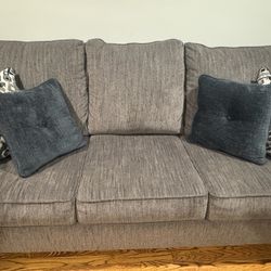 Furniture - Sleeper Sofa (like New)