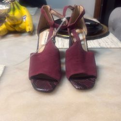 Antonio Melani Designer Shoes 👠 (8m)