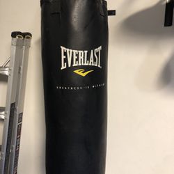 100lb everlast punching bag with speed bag and gloves set racks inclued $500 VALUE