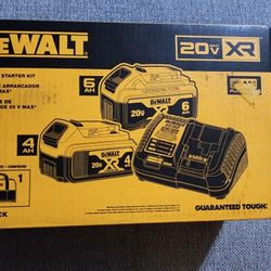 Dewalt Batteries And Charger Kit