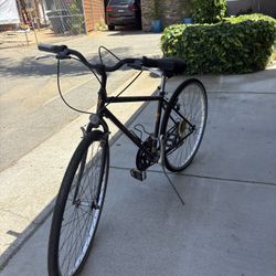 Speacialized Crossroads Bike 