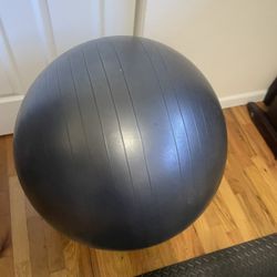 Workout ball