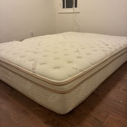 Queen Saatva Mattress And Wooden Frame 