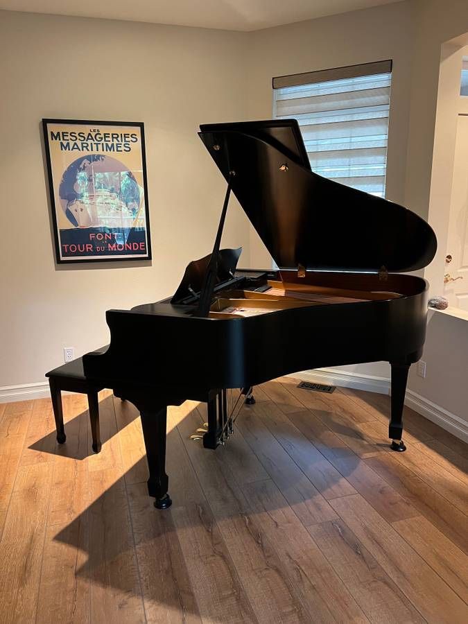 Baby grand Piano Going Out For Free