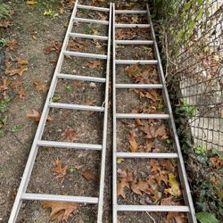 16 Feet Ladder 