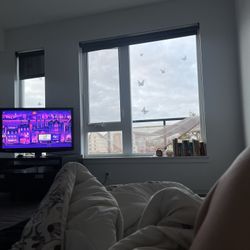 TV / TV Stand