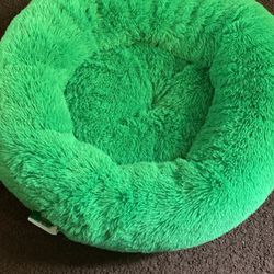 Play On Dog Bed