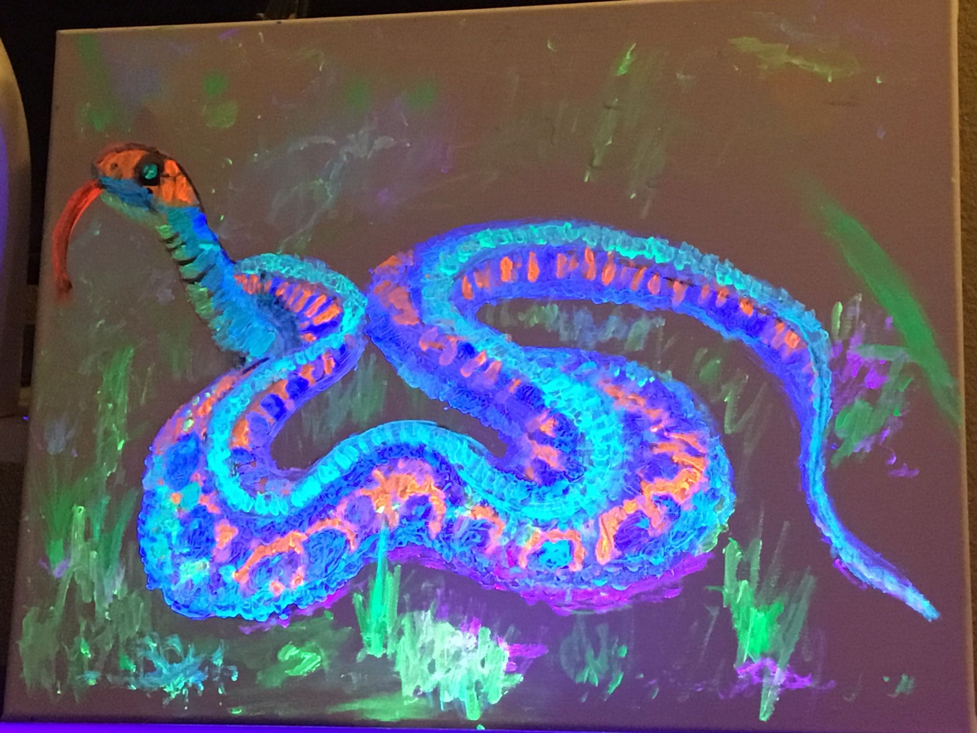 Red Sided Garter Snake Original Painting