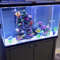 45 Aquarium Fish Tank Setup w/ Stand, LED Light & Accessories