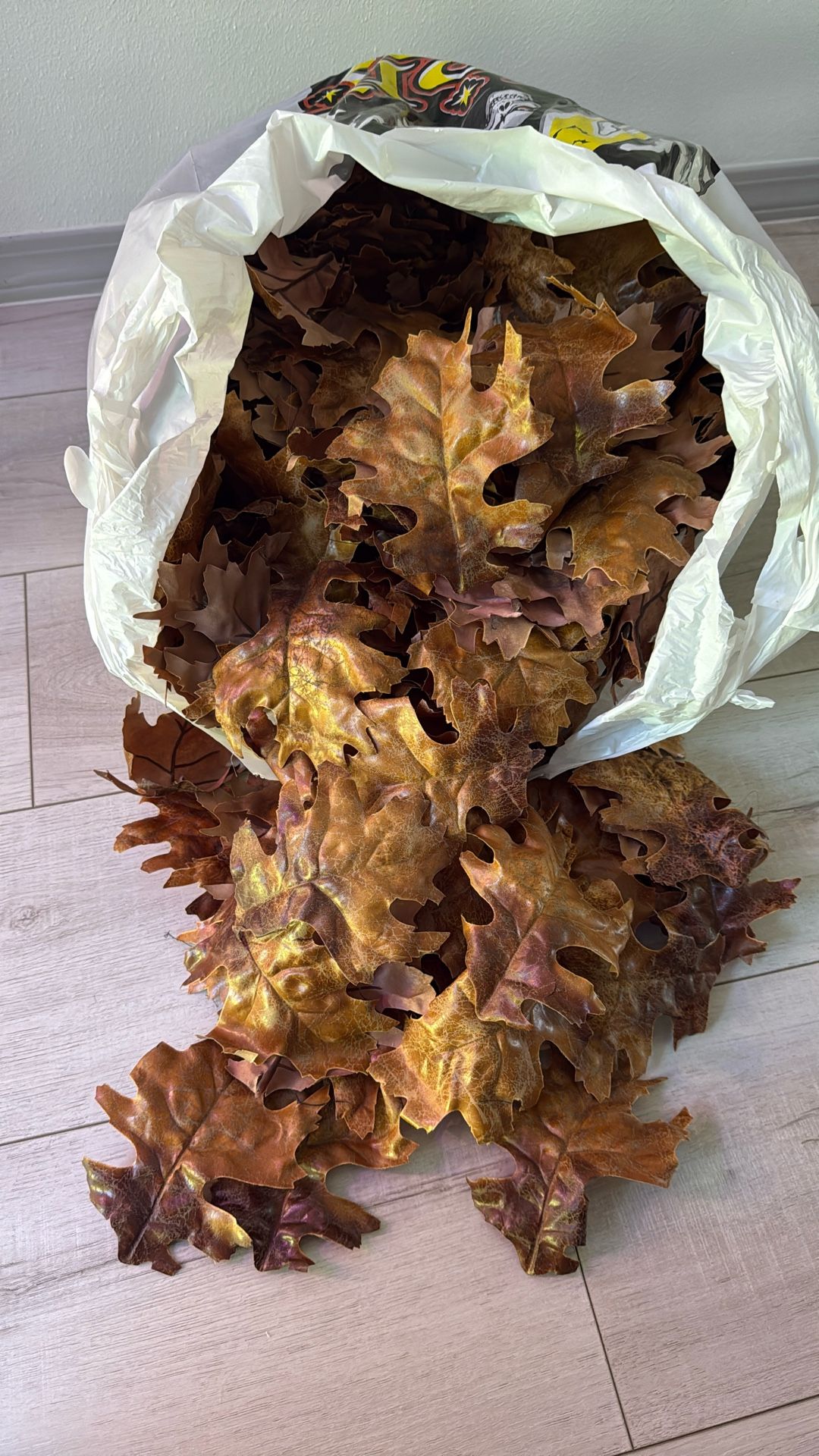 Leaves