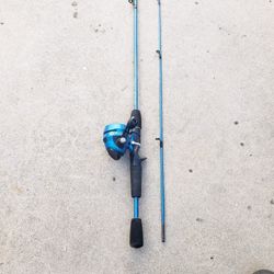 Fishing Pole With Reel 