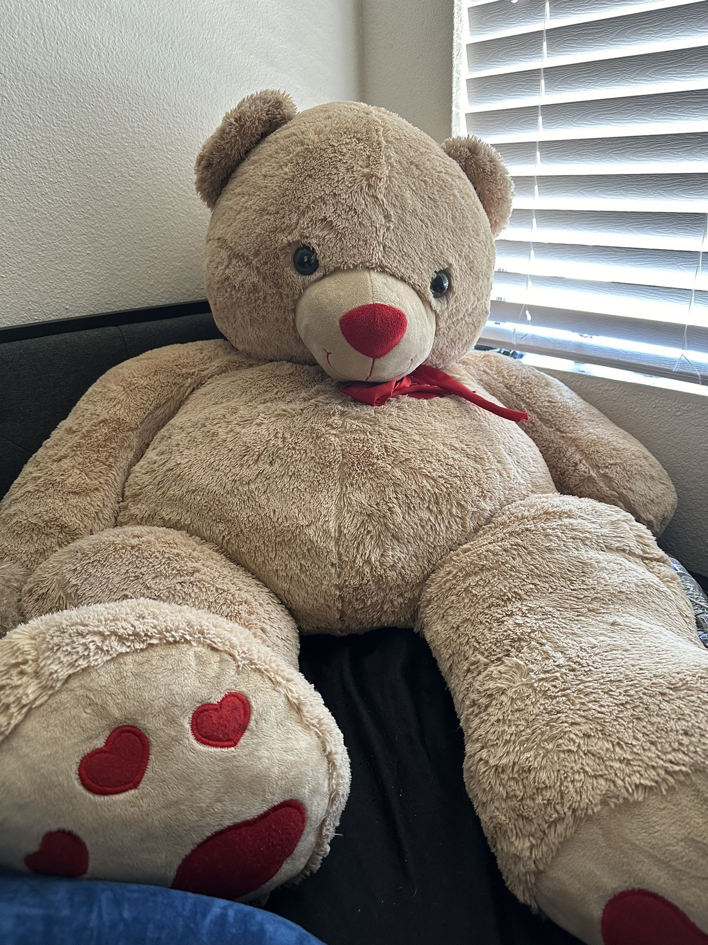 Big Teddy Bear