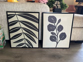 Set of 2 Botanical Framed Wall Art