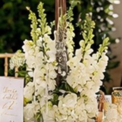 Center Pieces