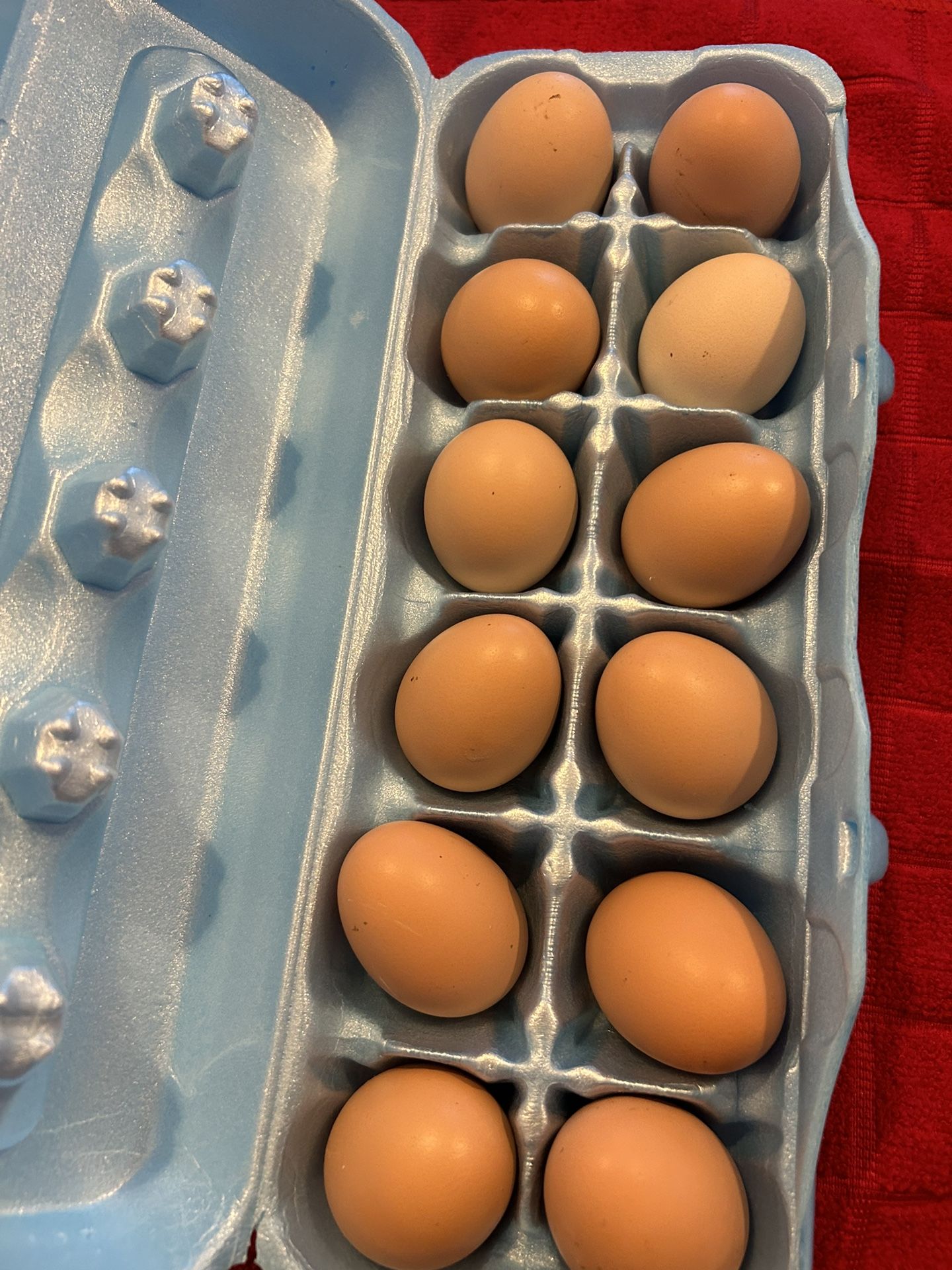 Eggs For Sale