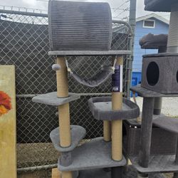 Cat Trees