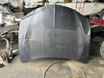 2021-2023 Acura Tlx Hood Used