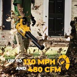 NEW POWERFUL CORDLESS LEAF BLOWER