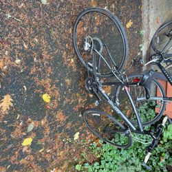 Specialized Vita Bicycle 