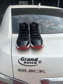 Bred 11s 6y