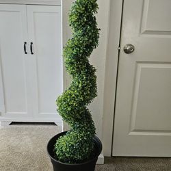 Spiral Topiary Plant Decor 