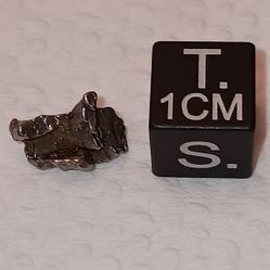 Campo del Cielo (Field of Heaven) Meteorite 1.1 gram
