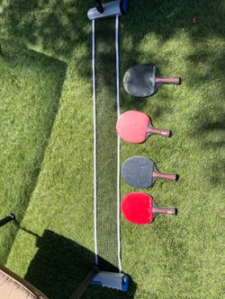 Ping pong paddles and net