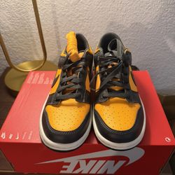 Nike Dunk Low Retro Sundial Anthracite - 5.5Y