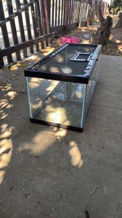 Reptile tank