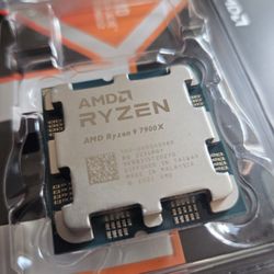 AMD Ryzen 9 7900x AM5 Socket