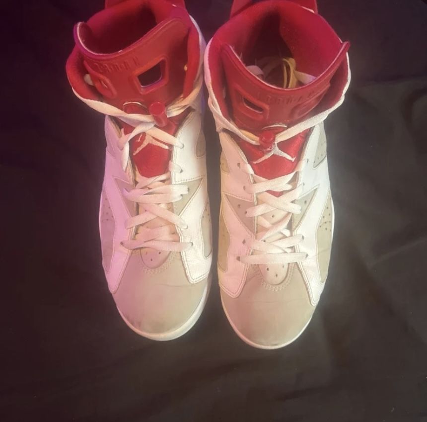 Jordan 6 Alternate