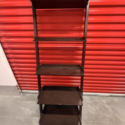 Leaning Ladder book Shelf