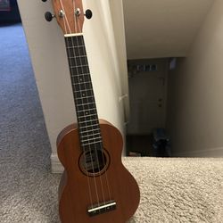 Ukulele Music Instrument
