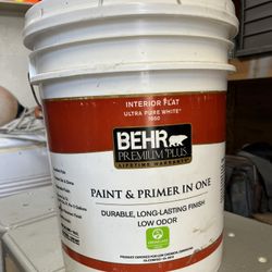 BEHR   PAINT AND PRIMER IN ONE