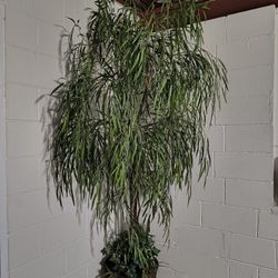 Beautiful Tall Artificial Tree 
