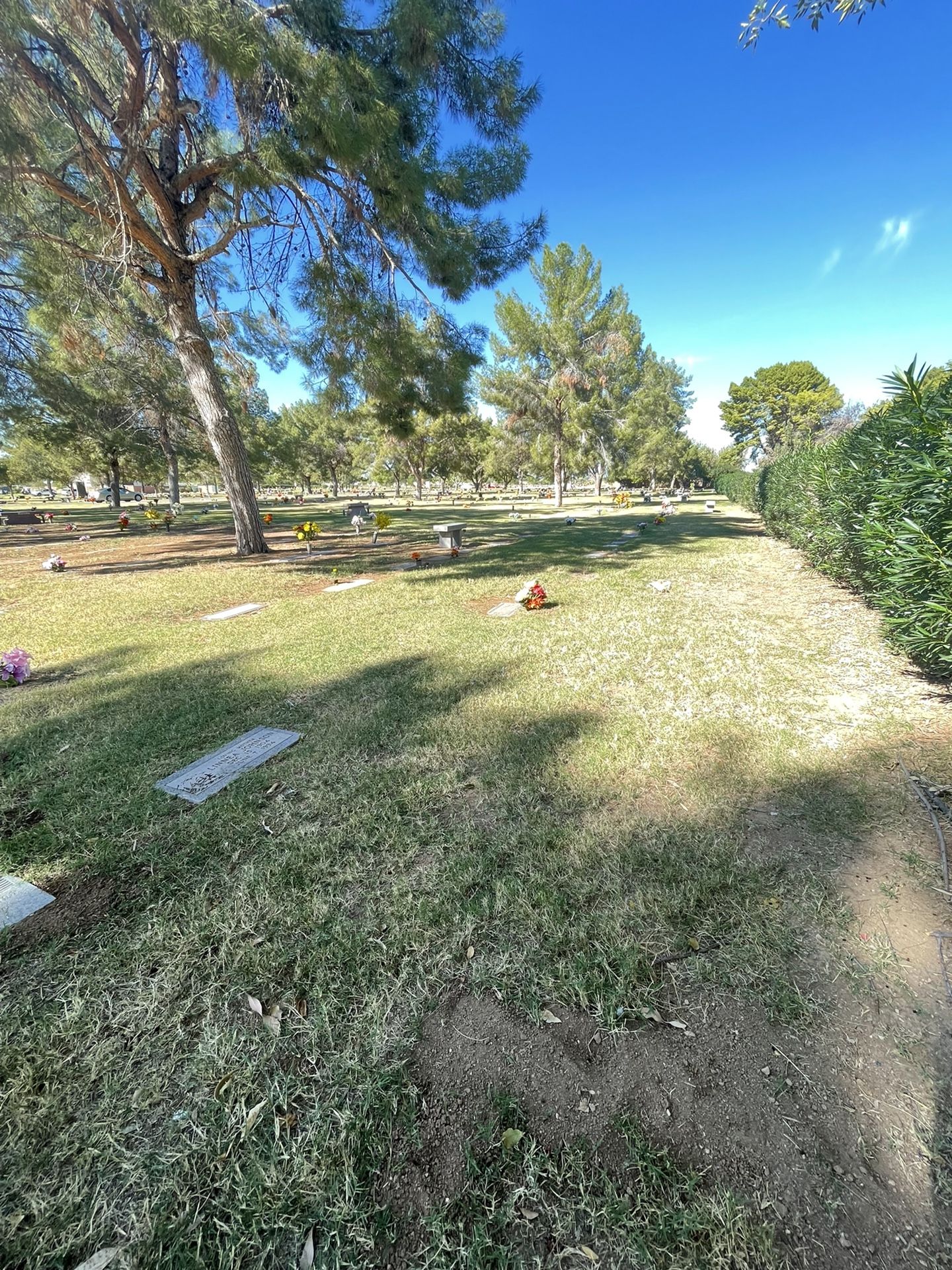 Cemetery plot for sale Glendale, AZ for Sale in Glendale, AZ OfferUp