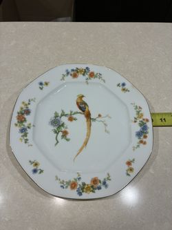 China  Complete Diner Set, Antique MZ Altrohlau Golden Pheasant 